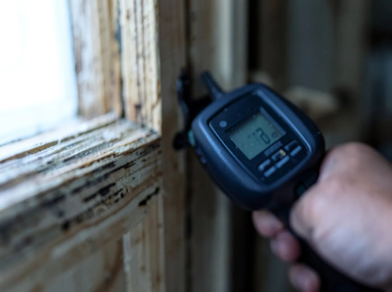 Moisture Inspection And Documentation in Altoona, AL